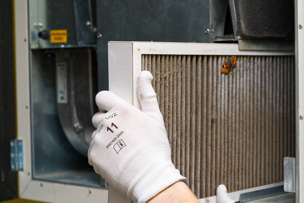 Best Affordable HVAC Duct Cleaning  in Mattawan, MI