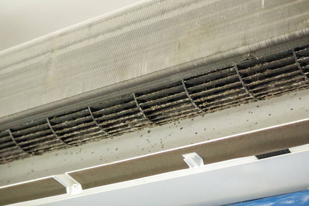 Best Commercial Air Duct Cleaning  in Mattawan, MI