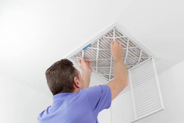 Best Residential Air Duct Cleaning  in Mattawan, MI